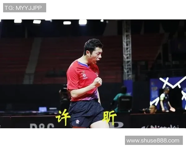 专业解读：重庆网球队的防反打法